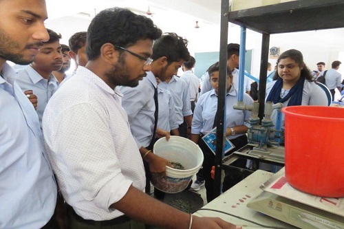 Diploma in Civil Engineering